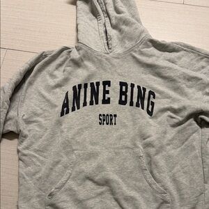 Anine Bing Sport Hoodie in Light Gray